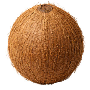Fresh Coconut (Medium Size)